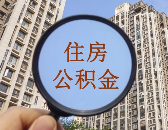 东海退休后查不到公积金明细了吗（退休后公积金查询不到原因）
